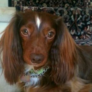 Meet your Posher, Cheryl